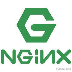 Nginx辅助器_服务器教程-奇速网