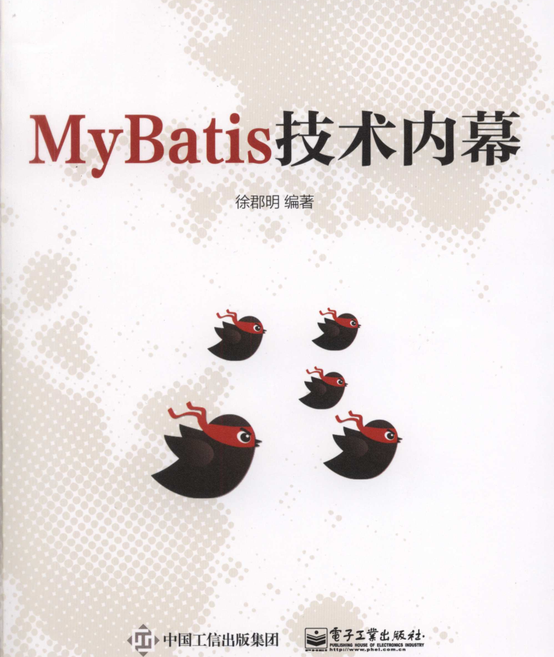 MyBatis技术内幕-奇速网