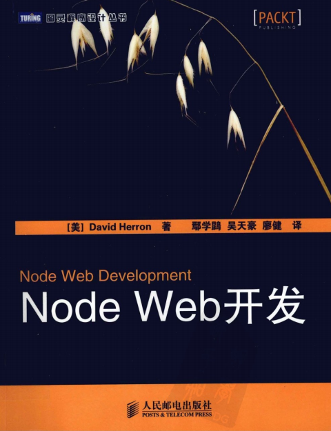 Node Web开发 PDF_前端开发教程-奇速网