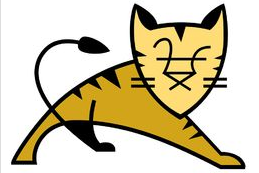 Apache Tomcat v8.0.50_服务器教程-奇速网