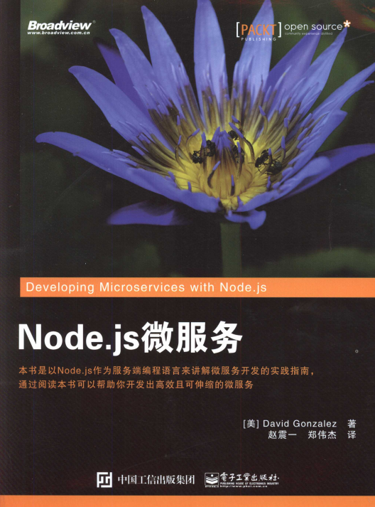 Node.js微服务 完整pdf_前端开发教程-奇速网